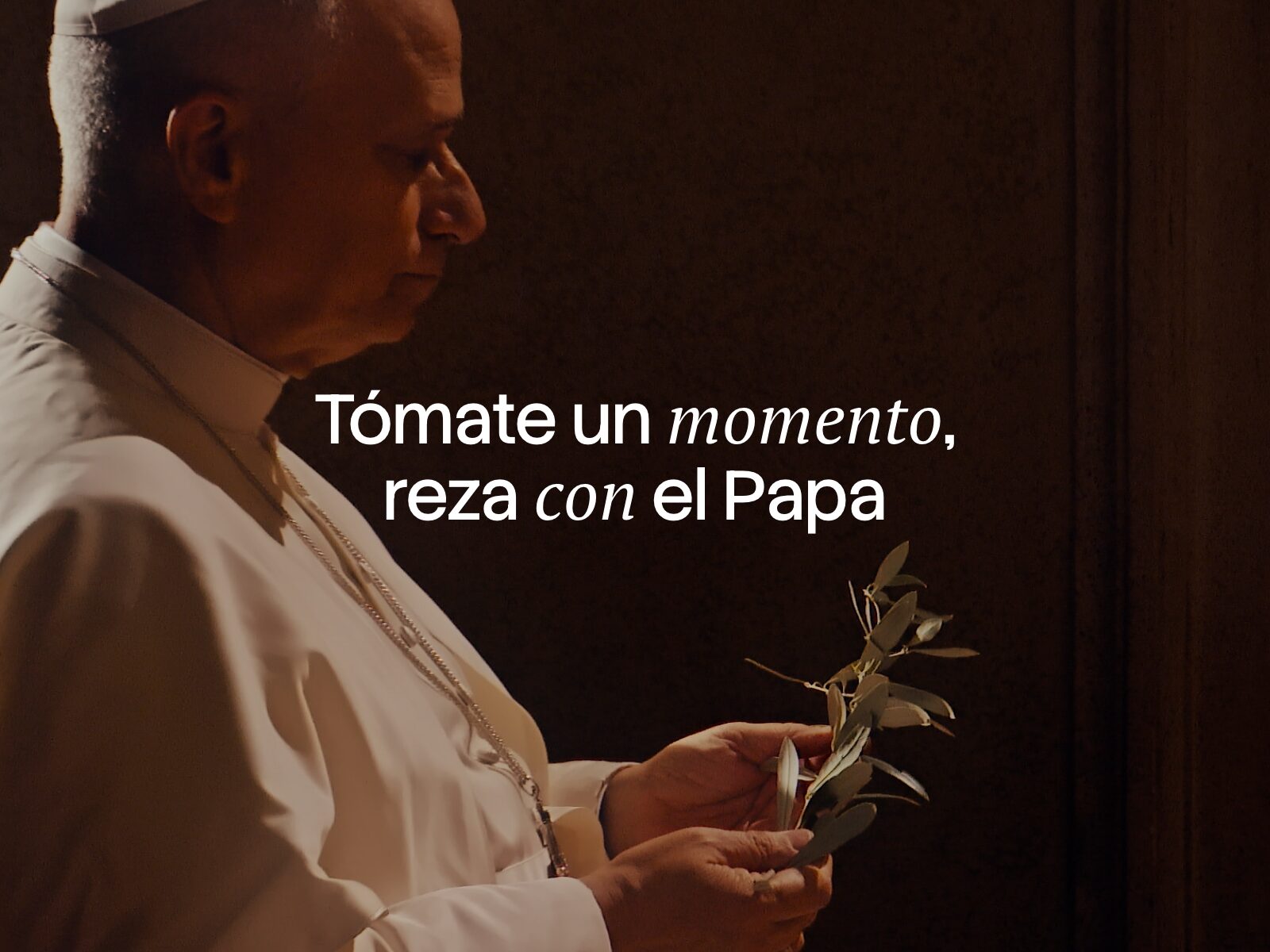 Oremos por la paz este 7 y 8 de marzo